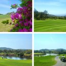 캐슬렉스제주(회원제18홀) 이미지