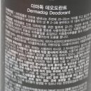 트렌덱스