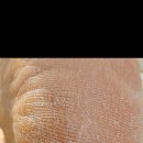 닥터페디(동래온천점) 이미지