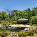 [여행 후기]오타쿠의 첫 간사이(교토&amp;오사카)여행 3,4일차 기록 ⛩️*교토 니조성,헤이안 신궁,금각사*