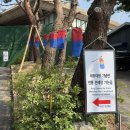 cafe-in 세종 | 시노스튜디오 아이폰스냅작가의 웨딩촬영 기록 in 세종대왕기념관웨딩홀
