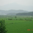 월령초등학교 이미지