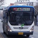 금거1리 이미지