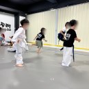 경희대최강태권도 이미지