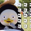 르미에스테틱 이미지