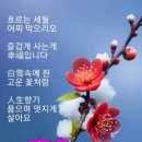 향기 이미지
