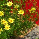 우리파크 이미지