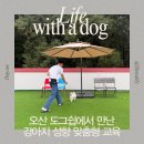 수니유치원 | 도그쉽 | 오산·동탄 애견유치원 추천 :: 개별 성향 맞춤 강아지교육 강아지훈련