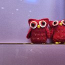 우암로 | 대전 동구 성남치과 추천 임플란트와 스케일링까지 믿을수 있었던 후기