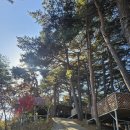 청포대숲속야영장 | 영월 일출과 일몰이 아름다운 아리아리 숲속야영장 솔직 이용 후기