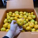 생규농장 이미지