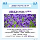 퍼플데이 이미지