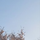 게으른손뜨개