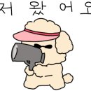 비치화이트애견펜션 이미지