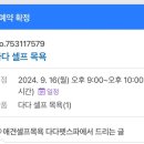 다다펫스파 이미지