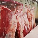 광수네생고기 이미지