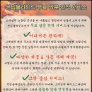 디아이에스 네이버블로그