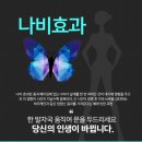 허리케인의원 네이버블로그