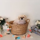 오파프부산 이미지