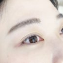 메콰드림 이미지