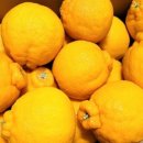 수복농장 이미지