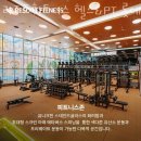 리조트휘트니스 헬스&PT 롯데백화점 일산점 네이버블로그