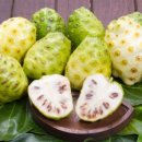 노니 필라테스 이미지