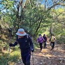 경북 경주시 남산 봉화대봉(476m) 그리고.. 능이닭백숙~.. 이미지