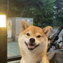 태풍식육점 이미지