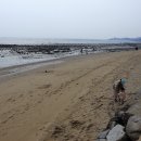 구읍뱃터 이미지