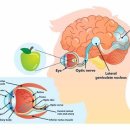 용화일침한의원 이미지