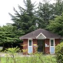 태현공원앞 이미지