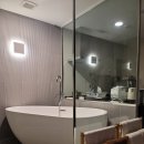 페나테스 이미지