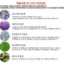 클라우드클린 이미지