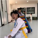 늘푸른 경희대 태권도장 | 태권도에 음악줄넘기까지, 늘푸른경희대태권도장에서 체계적인 성장을 경험하세요