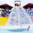 파라다이스 스파도고 이미지