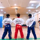 황룡태권도 이미지