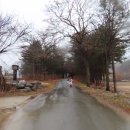 상표천 Daum카페