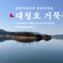 🐦 민물가마우지 집단서식처 대청호 거북섬, 사진작가들이 좋아하는 전망 좋은 곳 이미지