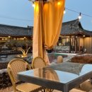 파인위드 이미지