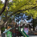 괴정1동-4 이미지