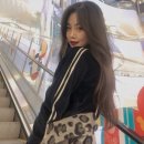 수진디자인 이미지