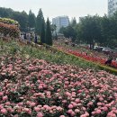 도당동 행정복지센터 이미지