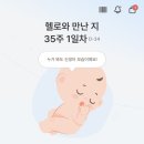 수가연의원 | 30주~35주 / 가연관악산부인과 막달검사, 관악구 무료 백일해 접종