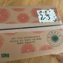 귤사랑천리향감귤농원 | [내돈내산] 인간극장 고말선의 사랑 '말선농원 귤 10kg' 주문후기