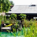 소중한 댕 이미지