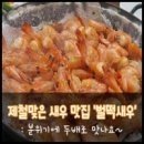 벌떡새우 이미지