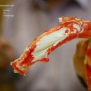 폭풍수산 이미지