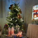 하하스테이 | 또 가고싶은, 제주시숙소 하하스테이 숙박 후기!