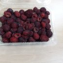 대경농장 이미지